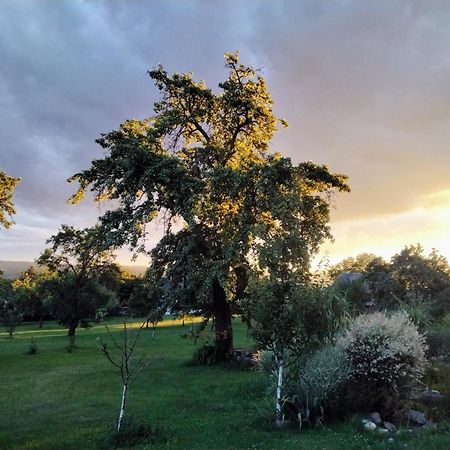 Gemuetlichkeit Am Vierkanthof - Apartment 2 Worterberg Dış mekan fotoğraf