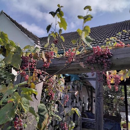 Gemuetlichkeit Am Vierkanthof - Apartment 2 Worterberg Dış mekan fotoğraf
