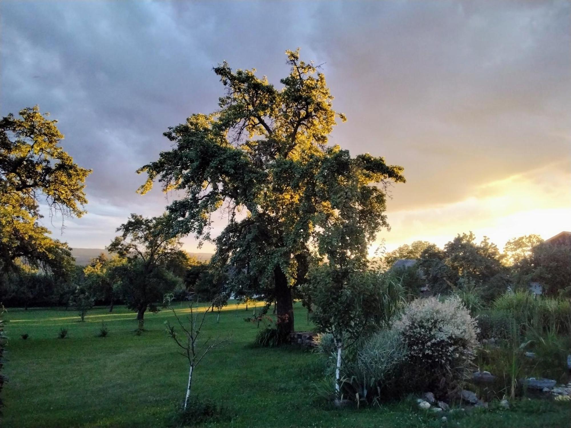 Gemuetlichkeit Am Vierkanthof - Apartment 2 Worterberg Dış mekan fotoğraf